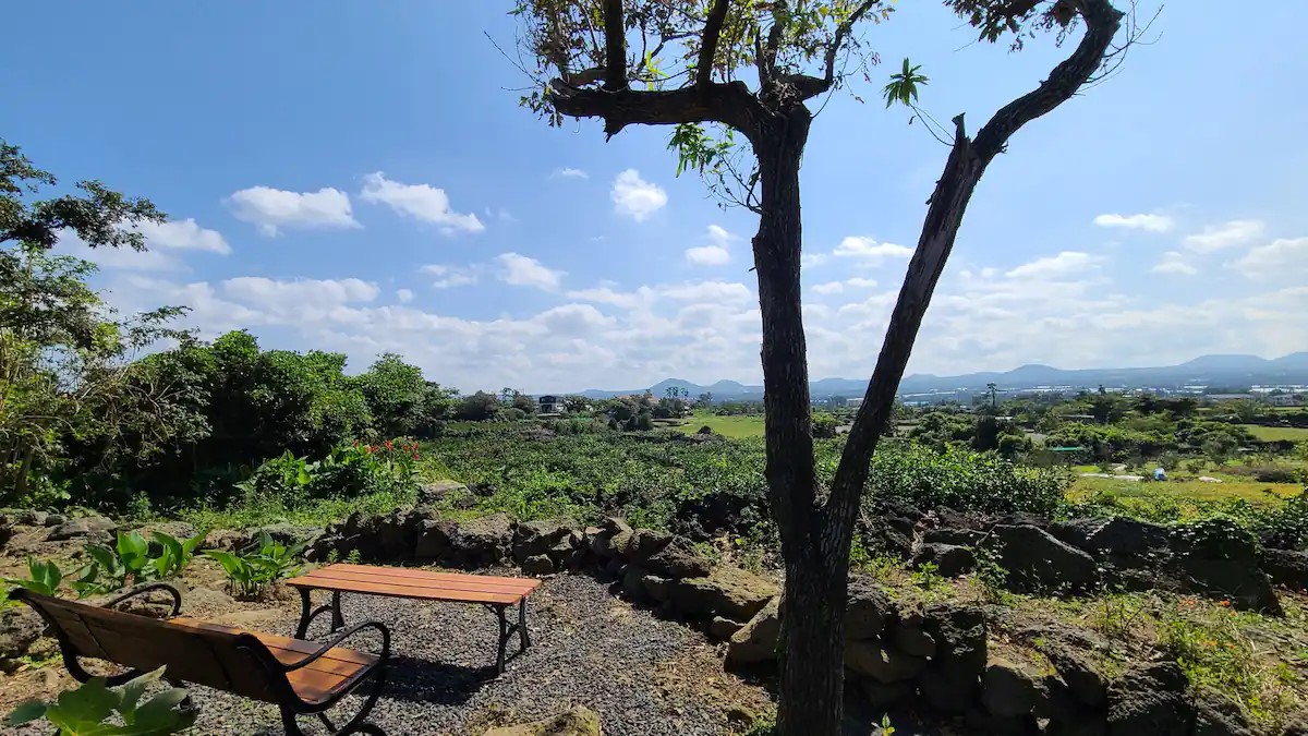 30평 가족 독채 아이동반 제주단체여행 제주도에서일주일살기 이주살기 보름살기 한달살기 독채