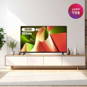 [LG전자 직영]LG OLED TV OLED65B4NNA (163cm), 스탠드