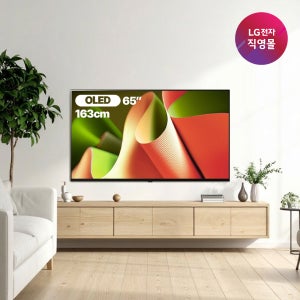 [LG전자 직영]LG OLED TV OLED65B4NNA (163cm), 벽걸이