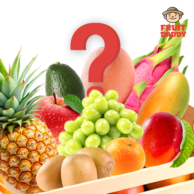 [럭키박스/과일세트]명품 과일 포함 신선하고 맛있는 제철과일 최대 10종 랜덤으로 만나보세요!