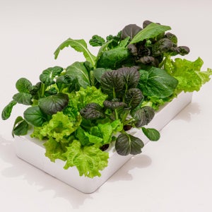 오디가 수경재배기 식물재배기 - 단 추가(단독 사용 불가)