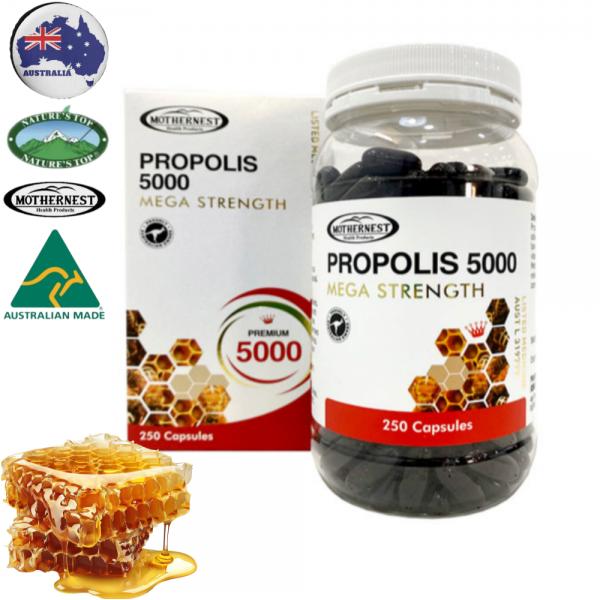 간편한 하루 1정 호주 TGA 식약처 인증 압축 비율 10:1 편하게 섭취 프로폴리스 5000mg 250캡슐 <b>마더네스트</b>