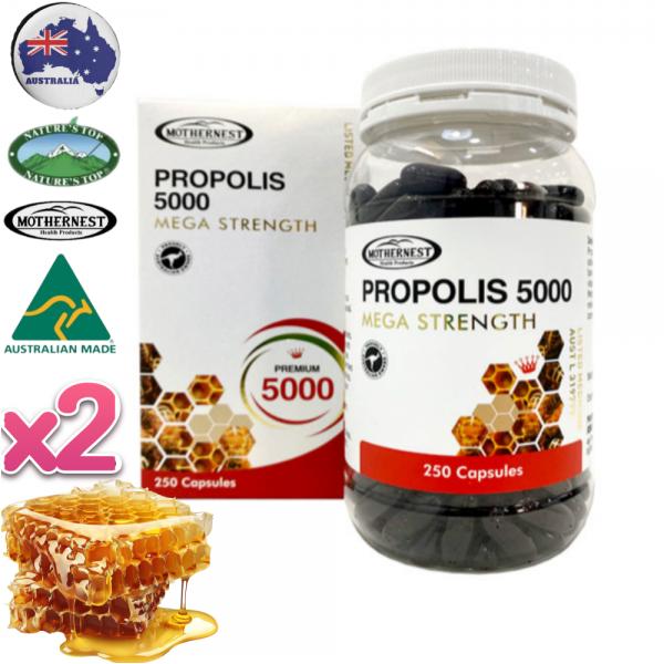간편한 하루 1정 호주 TGA 식약처 인증 압축 비율 10:1 편하게 섭취 프로폴리스 5000mg 500캡슐 <b>마더네스트</b>