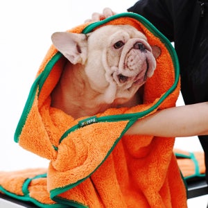 바비온 초극세사 수건 강아지 고양이 포켓 당근 펫타올 오렌지, M