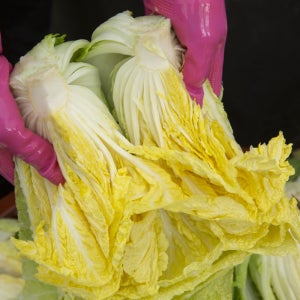 전라도 해남 김장 절임배추 절인 배추 20kg