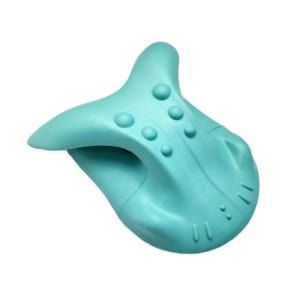 넥스트레쳐 거북목 일자목 가정용 목 스트레칭 교정기