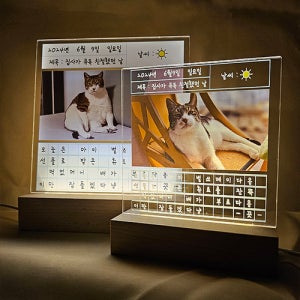 그림일기 무드등 반려동물 커플 인테리어 수면등 AG03