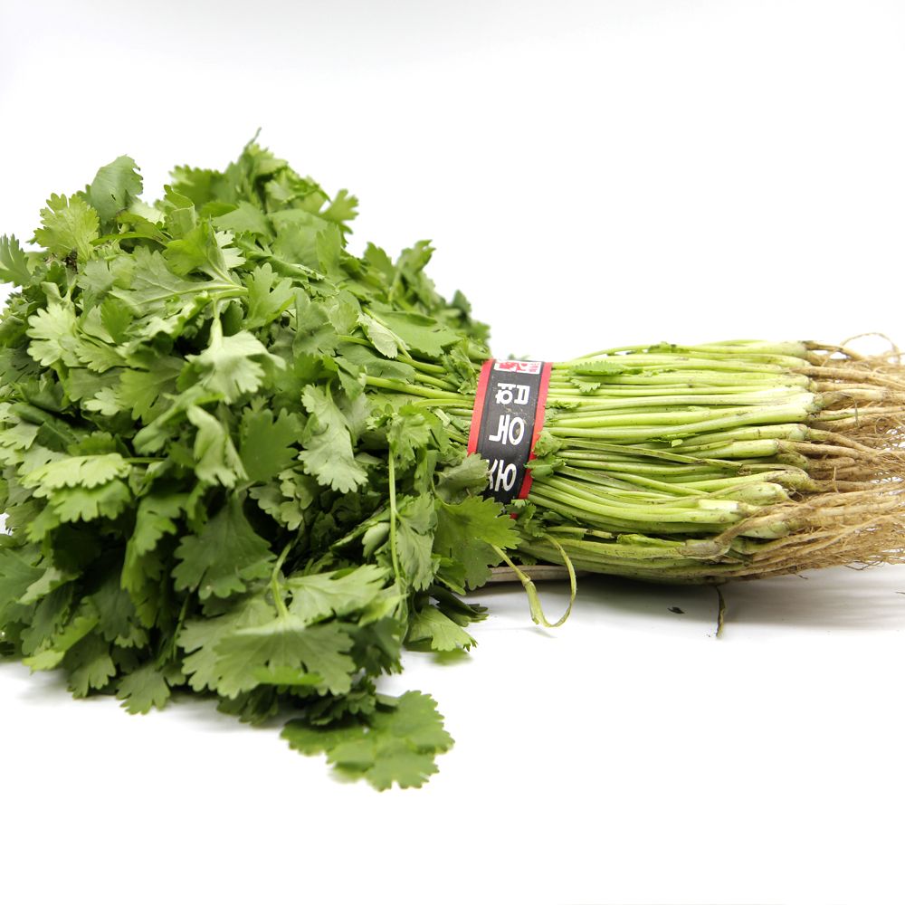 푸레아 국내산 특품 고수 1단 샹차이 향채 가니쉬 음료베이스 베이킹재료 칵테일