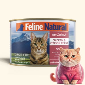 k9 캔 필라인 내추럴 피스트 고양이 주식캔 치킨+사슴, 170g, 12개