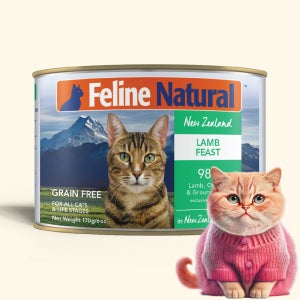 k9 캔 필라인 내추럴 피스트 고양이 주식캔 램, 170g, 1개