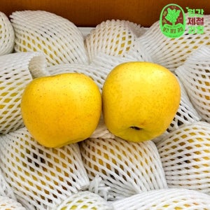 경북 시나노골드 못난이 황금 꿀사과 5kg