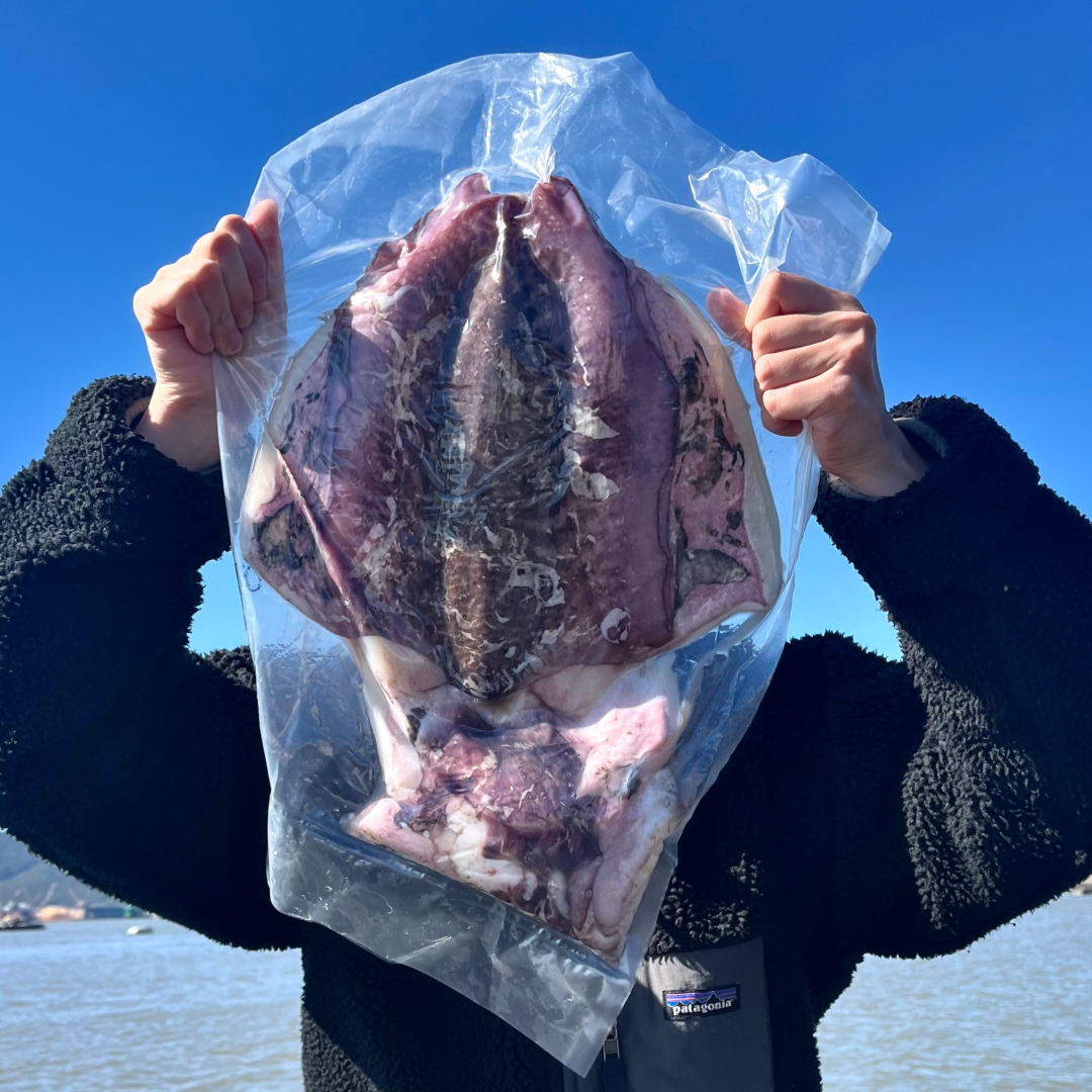 반건조오징어 반건조갑오징어 특대 건어물 피데기 피대기 1kg
