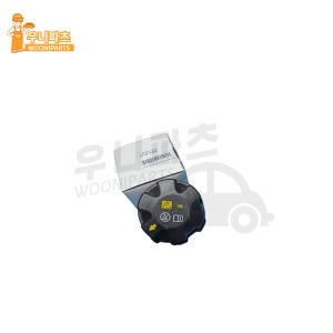 순정 부품 BMW X5 E70 F15 G05 20D 30D 40I 40D M50 냉각수 물통 캡 뚜껑