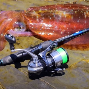 한국다이와 24 세르테이트 스피닝릴 루어낚시 릴 FC LT 2000S-P