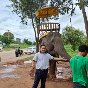 방비엥 싸바이 전세밴 왕복 단독 투어