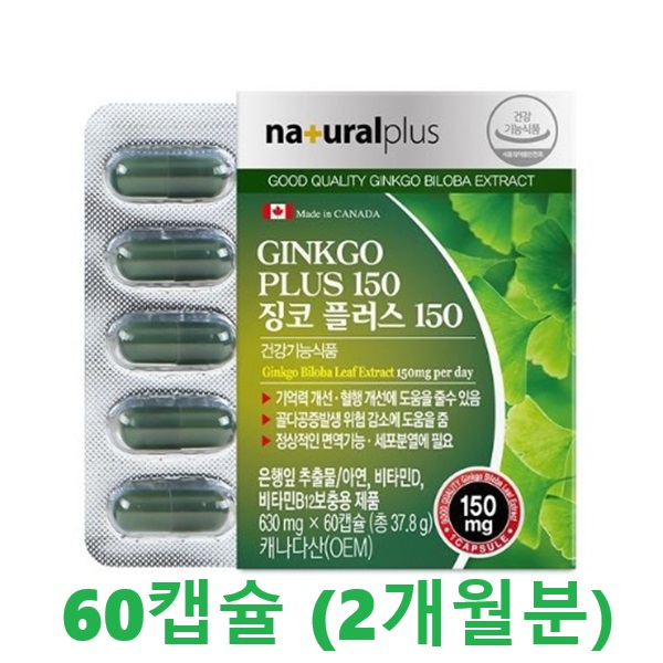 기억력개선 은행잎추출물(플라보놀)36
