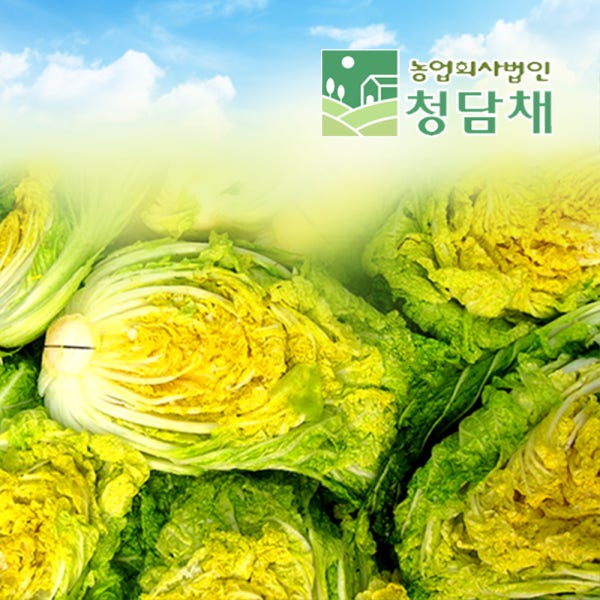 청담채 괴산 절임배추20kg 90일배추 국산 천일염으로 절인