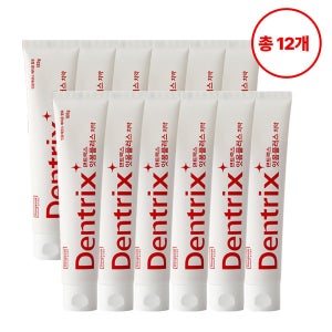 동국제약 덴트릭스 잇몸플러스 치약 / 잇몸케어 및 구취개선 효과 160g, 12개