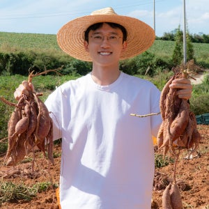 무농약 고구마 영암 꿀고구마 밤고구마 세척 베니하루카 3kg 5kg