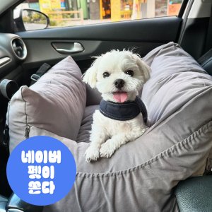 포즈베이직 강아지 카시트 국내생산 반려견 중형견 조수석 자동차 시트 그레이, M(중형)