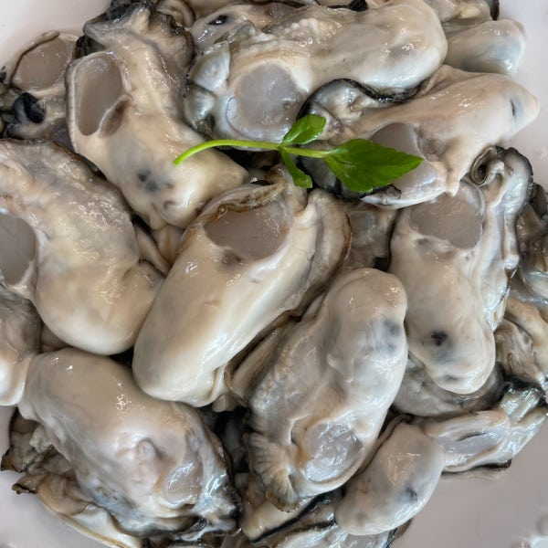제철 통영 굴 깐굴 생굴 1kg