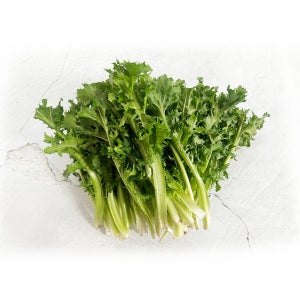야채이야기 싱싱한 치커리 1kg 샐러드채소 쌈채소