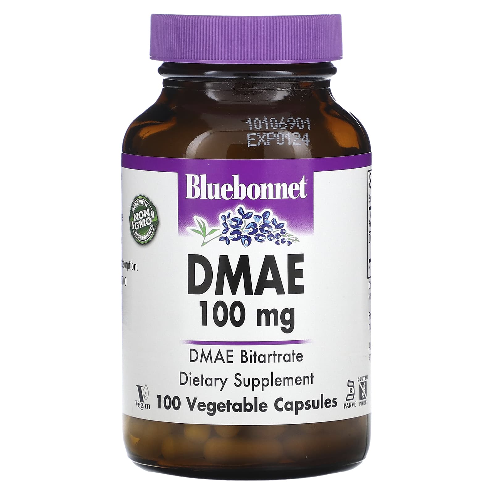 블루본넷뉴트리션 <b>DMAE 100mg</b> 베지캡슐 100정