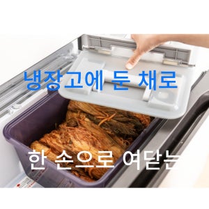 [김치종주국]-김종국김치통 10리터 1+1 합포장 세트- lg 엘지디오스 딤채 삼성비스코프 김치냉장고용 김치통/BPA프리