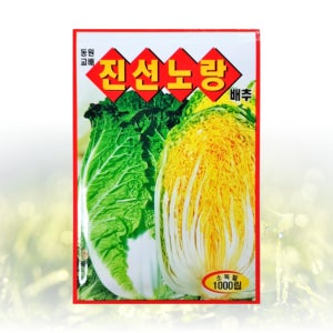 진선노랑 배추 1000립/동부 여름 씨 종자 김장 모종 항암 무 꽃양배추 토종 베타 불암