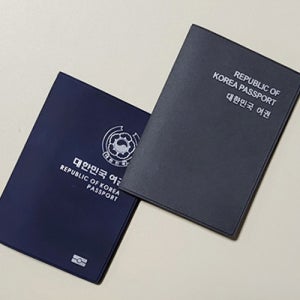 여권 케이스 전자형 고급 DS (1도 인쇄 포함 1000개이상 주문제작상품)