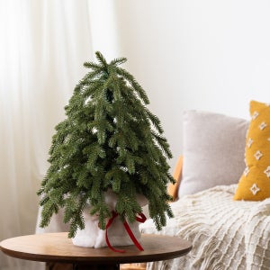 아티파티 2way 호텔식 미니 크리스마스 팟 트리 PE100 60 커버포함