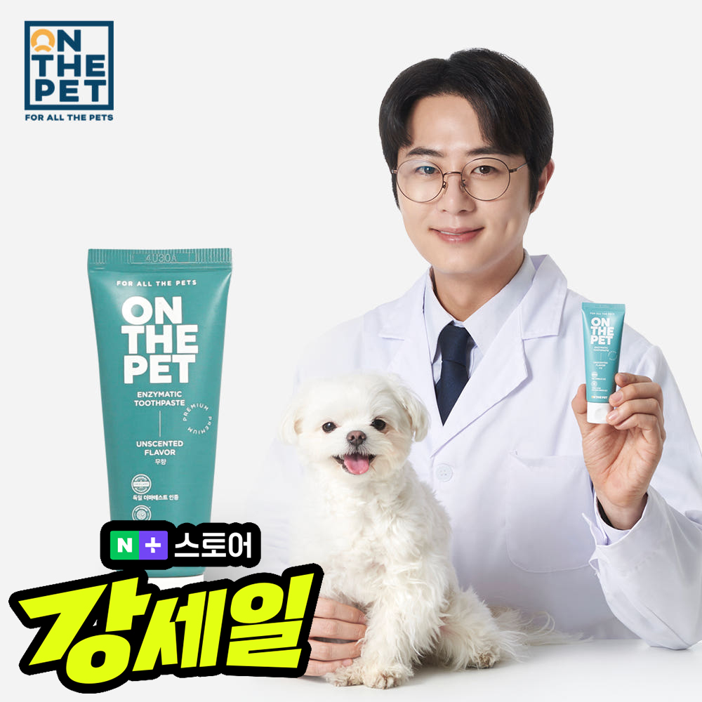 강아지 치석 제거 용품