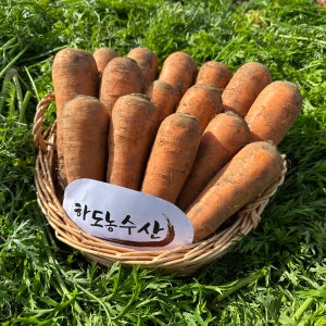 하도농수산 국산 제주 구좌 흙당근 햇 5kg 10kg 미니 주스용 산지직송