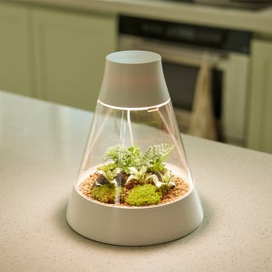 정린네 모글모글 테라리움 비바리움 이끼 무드등 LED등 밀폐형 용기 DIY 이끼테라리움 식물 키트