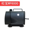 wp6000