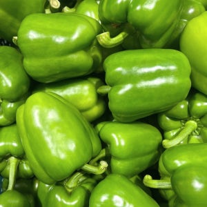 산지직송 청피망 청파프리카 2kg