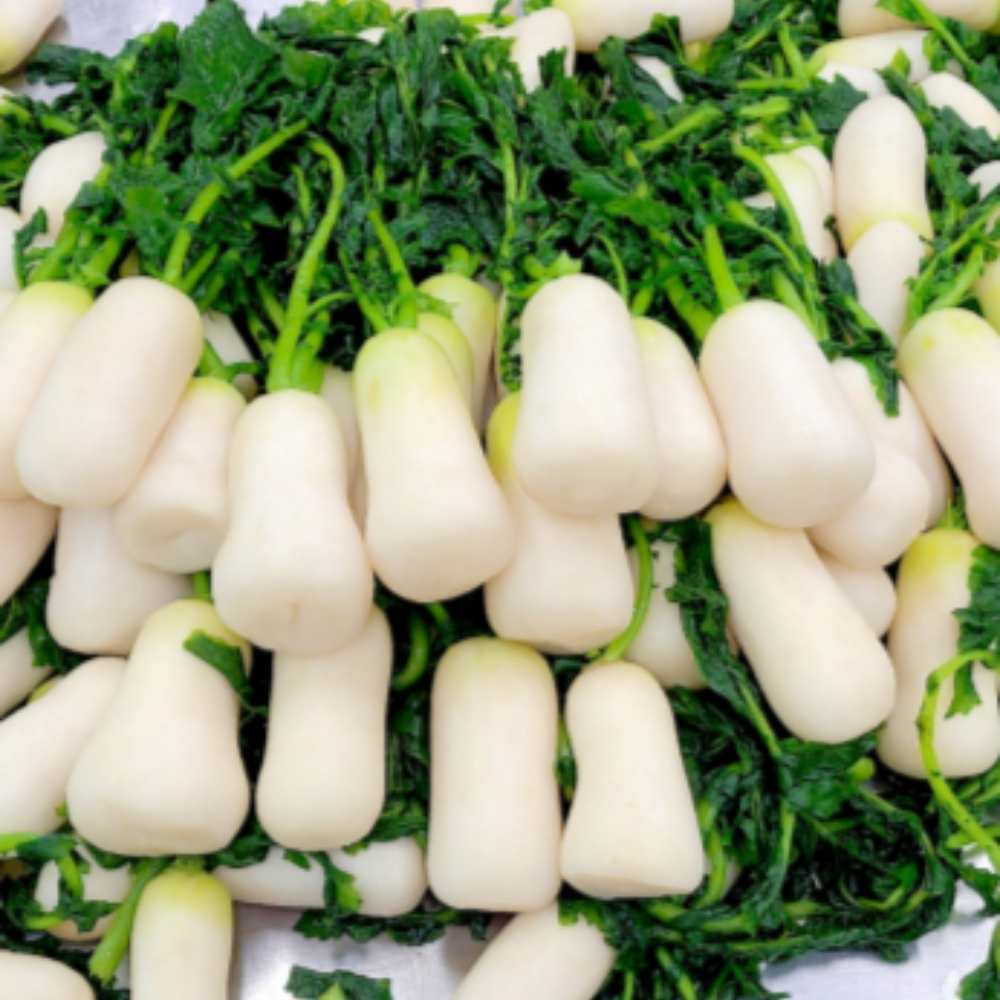해남 무안 절임 알타리 무우 김치 5kg 10kg