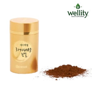 에이펙셀 나노 차가버섯 분말 가루 40g