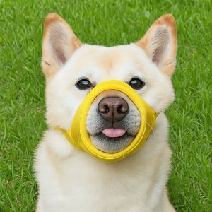 이게묘개 강아지 입마개 진돗개 대형견 중형견 소형견 짖음방지 산책 훈련 메쉬 마스크