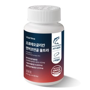 프로테오글리칸 연어코연골 울트라 600mg x 60정