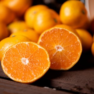 제주태린농장 제주 감귤 노지 조생 귤 3kg 5kg 10kg 서귀포 산지직송