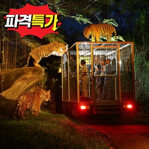 [당일발권] 싱가포르 나이트 사파리 입장권+트램 탑승 당일 첫입장 발권 가능 (저렴한 티켓)