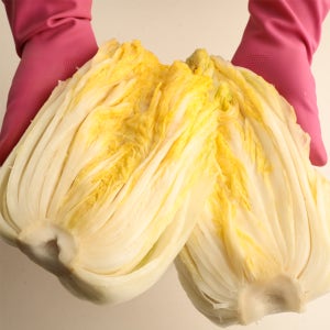 해남 절임배추 20kg 절인배추 김장 국내산 농산물모아