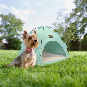 [디클펫] 365 텐트 하우스 M 강아지 고양이 집 사계절 숨숨집 방석 포함