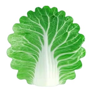 배추담요 배추이불 1인용담요 여행용 거실블랭킷