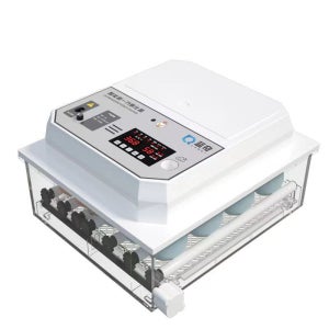 부화기 병아리 알 스마트 자동 병아리부화기 인큐베이터 가정용 A.6개-온도표시