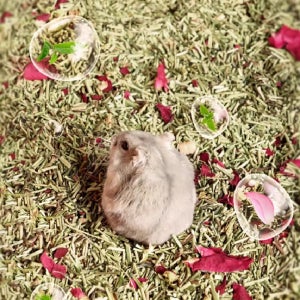 부켓스테이트 천연 찻잎 자연 베딩