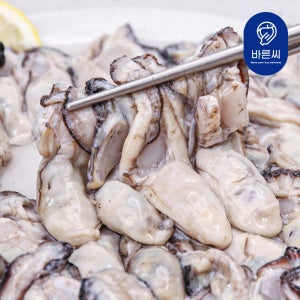 통영직송 제철 굴 생굴 1kg 깐굴 통영굴 대굴 횟감굴 김장굴