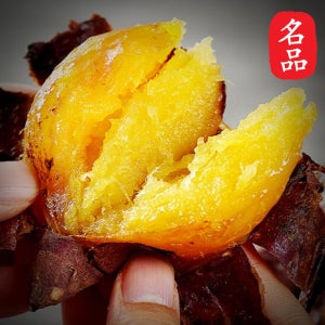 해남 황토 꿀 고구마 5kg 10kg 3kg 군 호박 고구마 햇고구마 베니하루카