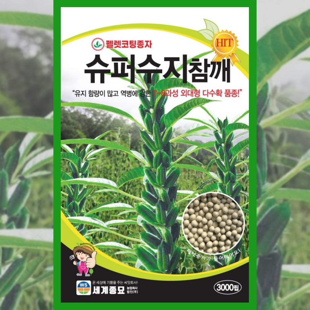 참깨 씨앗 <b>슈퍼</b>수지참깨 3000립 종자